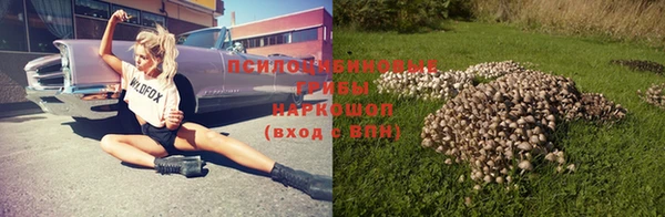 apvp Богданович