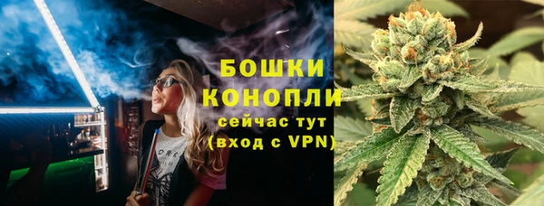 твердый Бородино