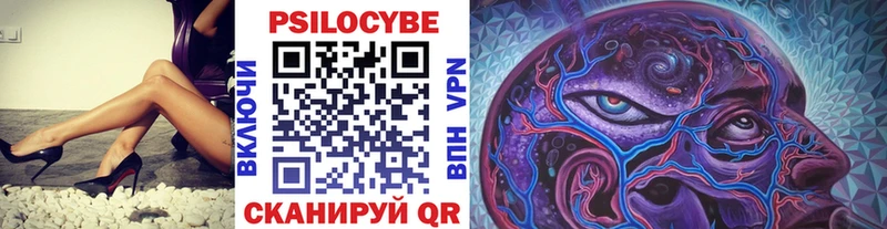 Псилоцибиновые грибы Psilocybine cubensis  Купить где  Южно-Сухокумск 